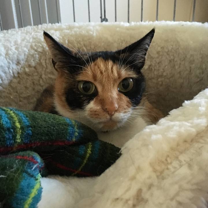 E5b39085 4713 4333 a76d a009d986cf92