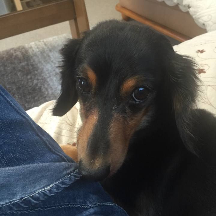 E5b3c0ed 383d 4b5c 8a0c f7e05d836119