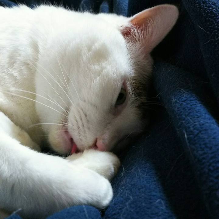 E5b40599 a614 4732 ac64 3e8f30f033db