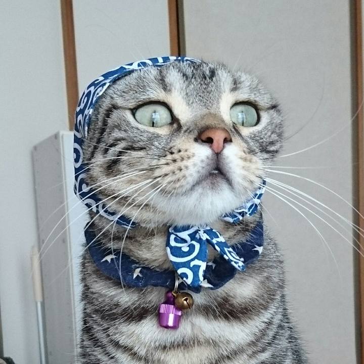 E5b43295 8465 4e09 abc7 8d410bfd7c63