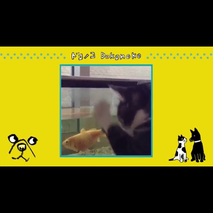 E5b43538 5dd7 451d bb17 0fec75e4404a