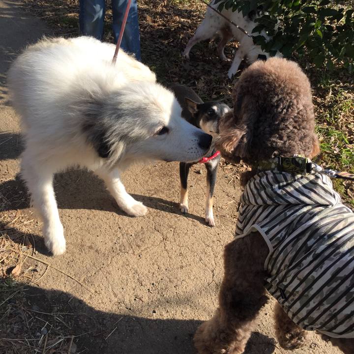 E5b4b1fd 0e4d 4415 ab41 0f97f4390a8b