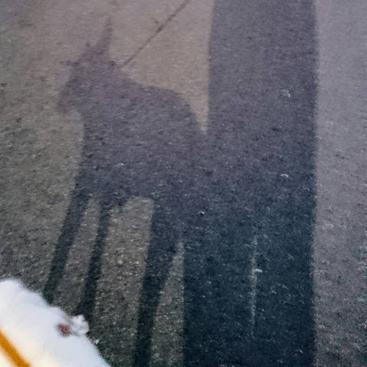 E5b4bb77 4fa7 450e 9c0a 863205f8544c