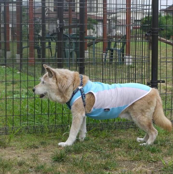 E5b4ca05 a1fc 4c4f a925 754e7cec7788