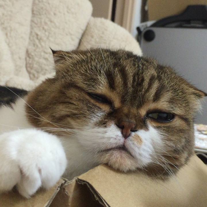 E5b4f60d 9456 4505 8b36 c2b7221f075f