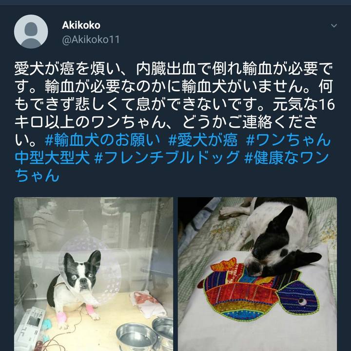 E5b5ce6f d301 49ee 9d56 7432c93f099c