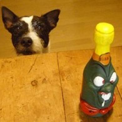 E5b68760 5b75 43d2 86df 0e9744732204