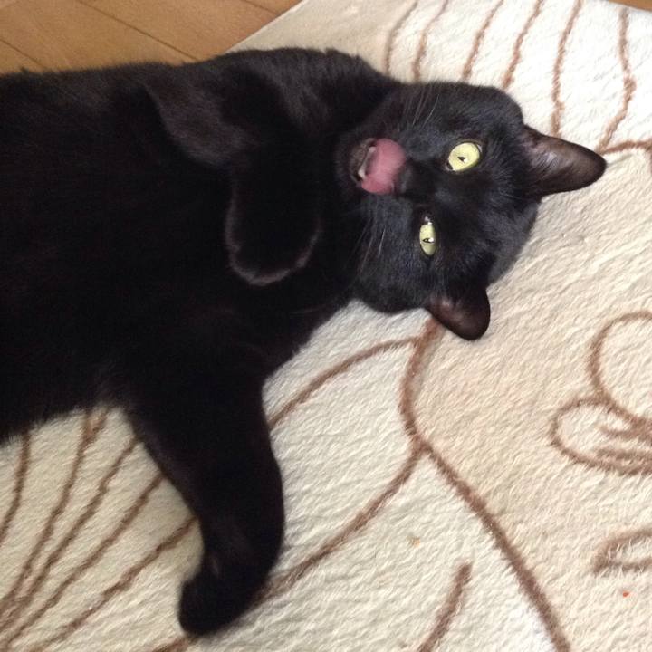 E5b6da6d b371 480d 80b6 0ee10ec22852