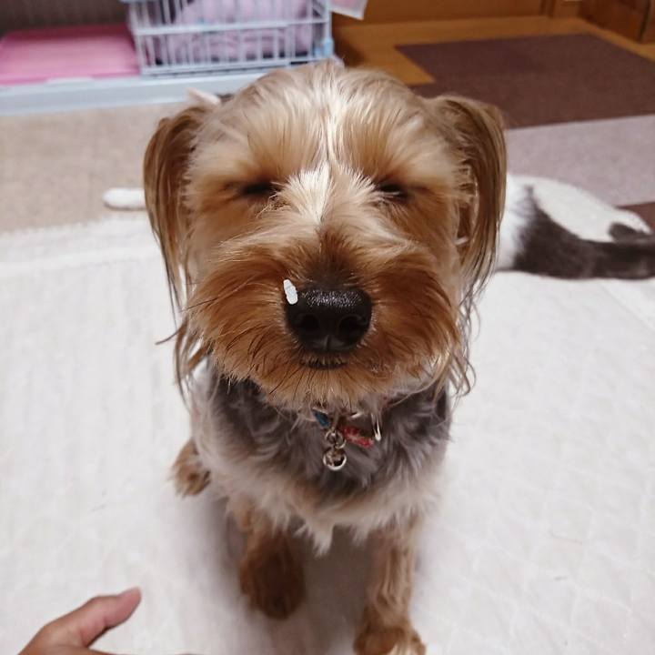 E5b79e96 2bbb 47d4 8aa6 14fe9648b4dc