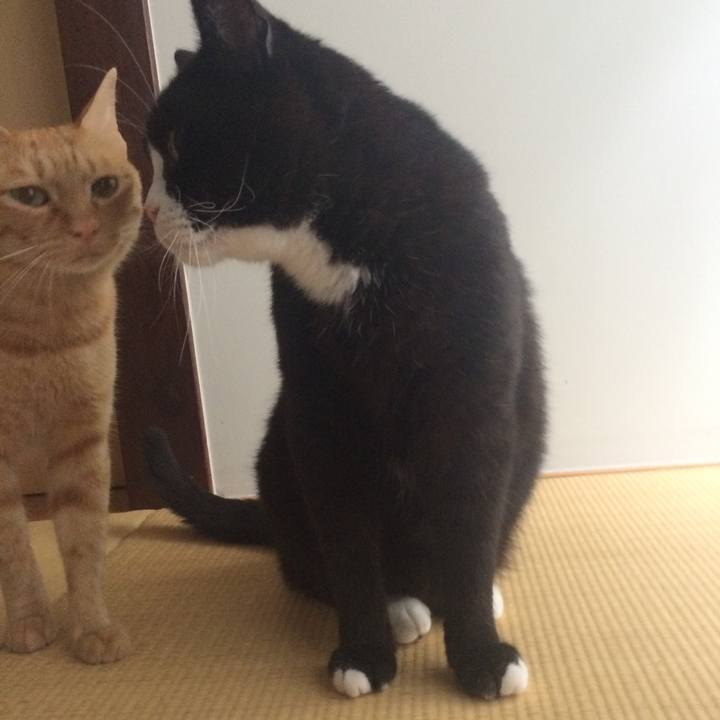 E5b903e1 b579 440b 994c 07e4b2e82de3