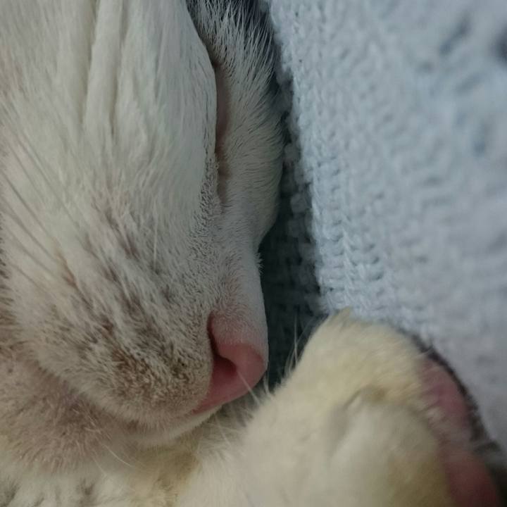 E5ba40c0 627a 4075 ba16 afce9924b071