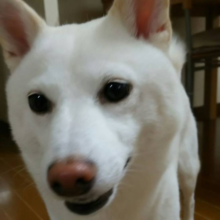 E5ba97f2 ba4c 4401 8567 9345c289cb98