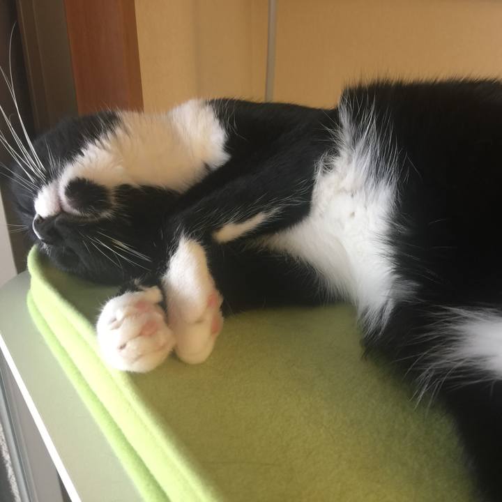 E5bac949 f966 492a 87f3 fab0ce063bc7