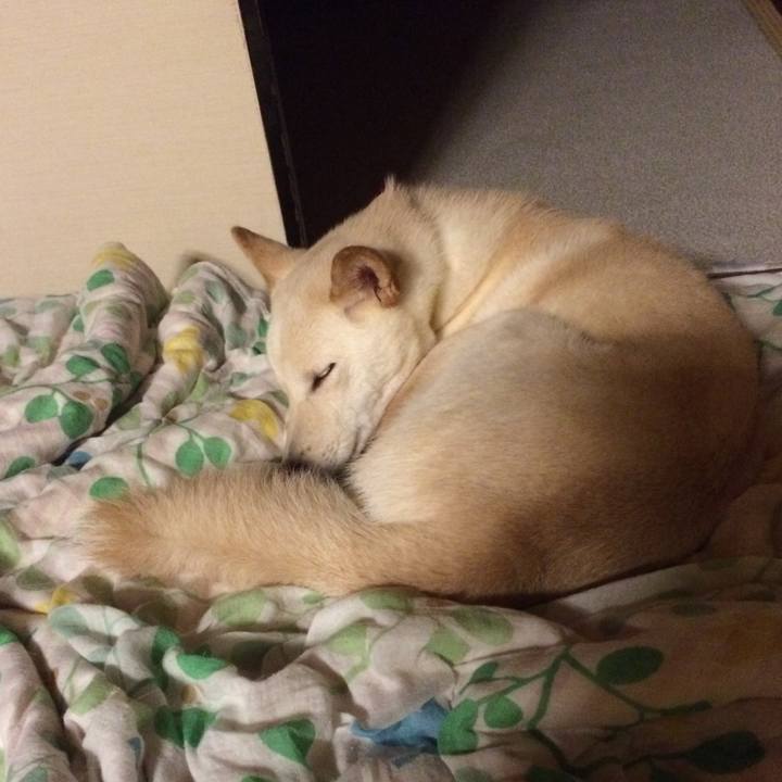 E5bbdf8d f423 4b8b a212 b510c49558c9