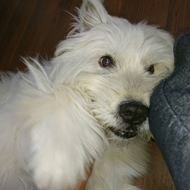 E5bc452c 4d35 4a4f bb96 1dcf38bd80a7