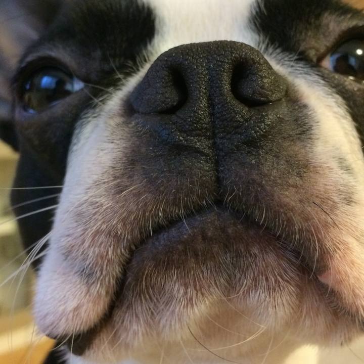 E5bd275b c4db 4527 82cc c6da3359c1de