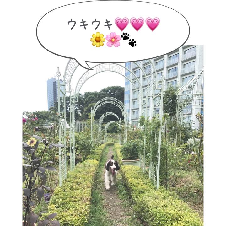 E5bd559b 9d7a 4240 a00f 24988b55fc2f