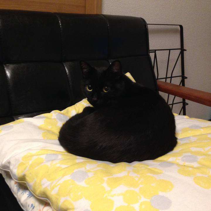 E5bdcf7c d58b 4dd1 9636 1a4439771a9c