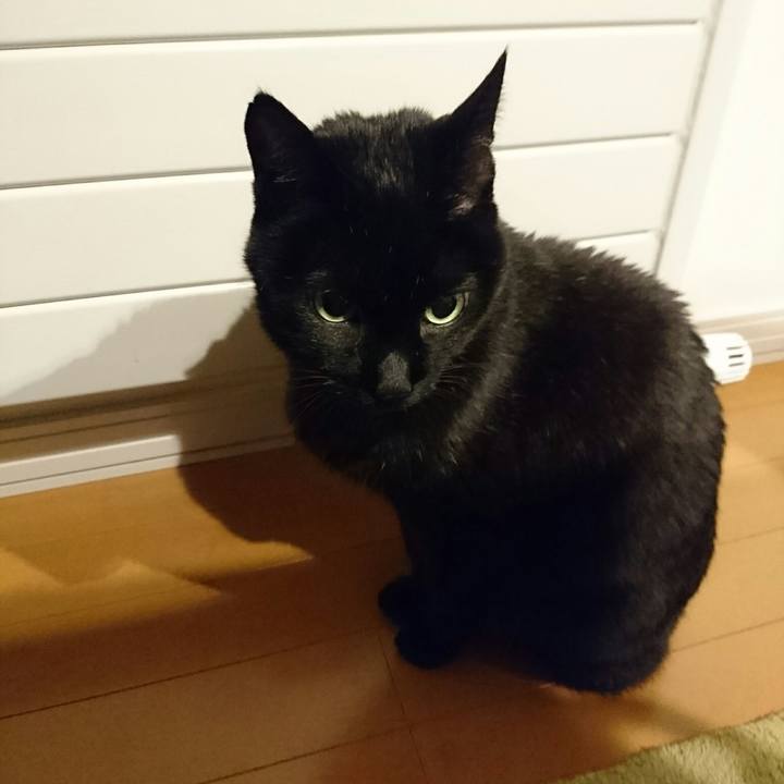 E5bdd2cb 84fa 4fa2 b389 deabd31aa7d1