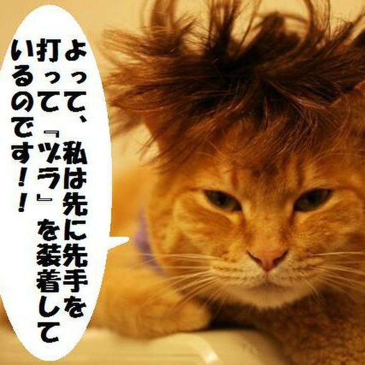 E5be0f57 8b7e 4ec6 a586 0b1cc3319583