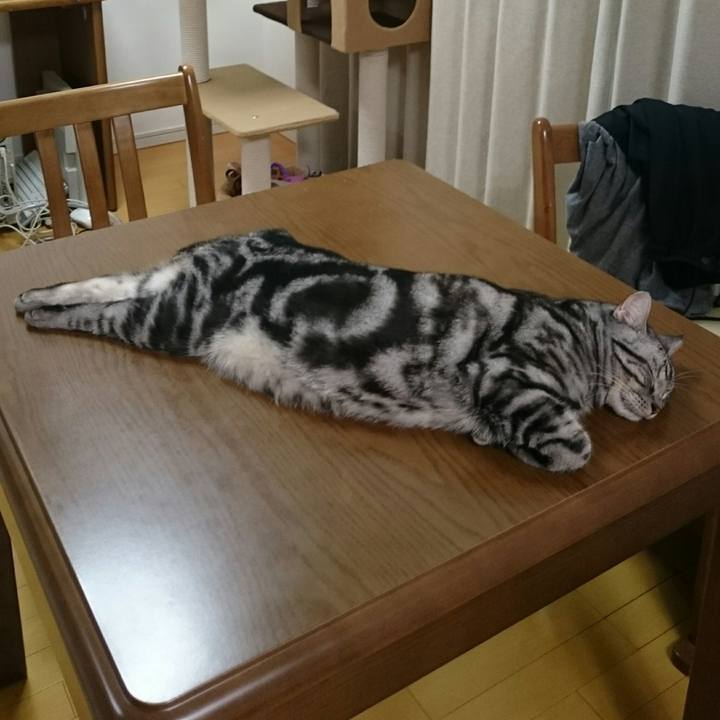 E5be72d1 5c58 49b2 9913 61ff4f10ce27