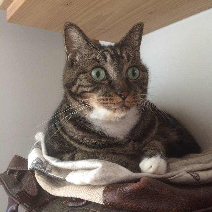 E5bea586 44c6 4dc9 885d c3df96a67b9a