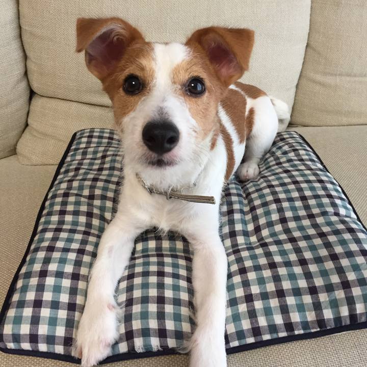 E5becc8b 4c27 418b be9d 19dab90c9959