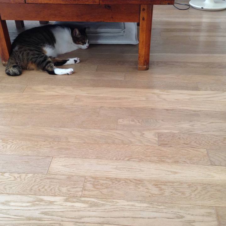 E5becfbd 0249 4c76 8e2d cc820a88e739