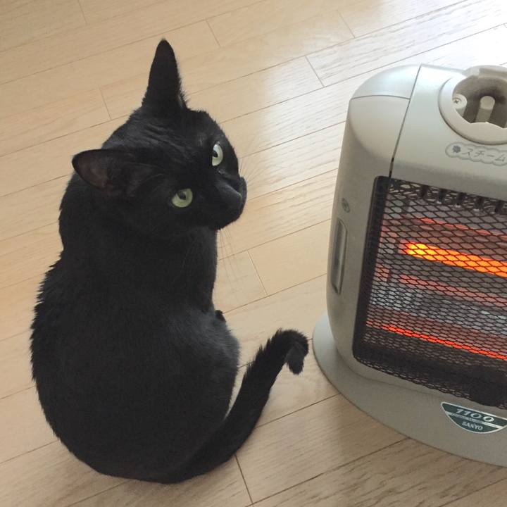 E5c00e1c f5d4 4460 bb69 84c1c0a0650f