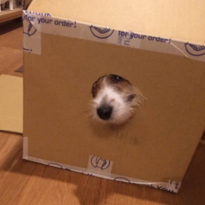 E5c01bf1 2b17 4c6f 9984 03f8b82d99ee