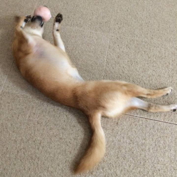 E5c03ca1 03ad 4fd6 bb94 30d503712bb9