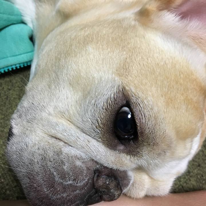 E5c0b884 3620 4a85 a584 1f6be7ddcbca