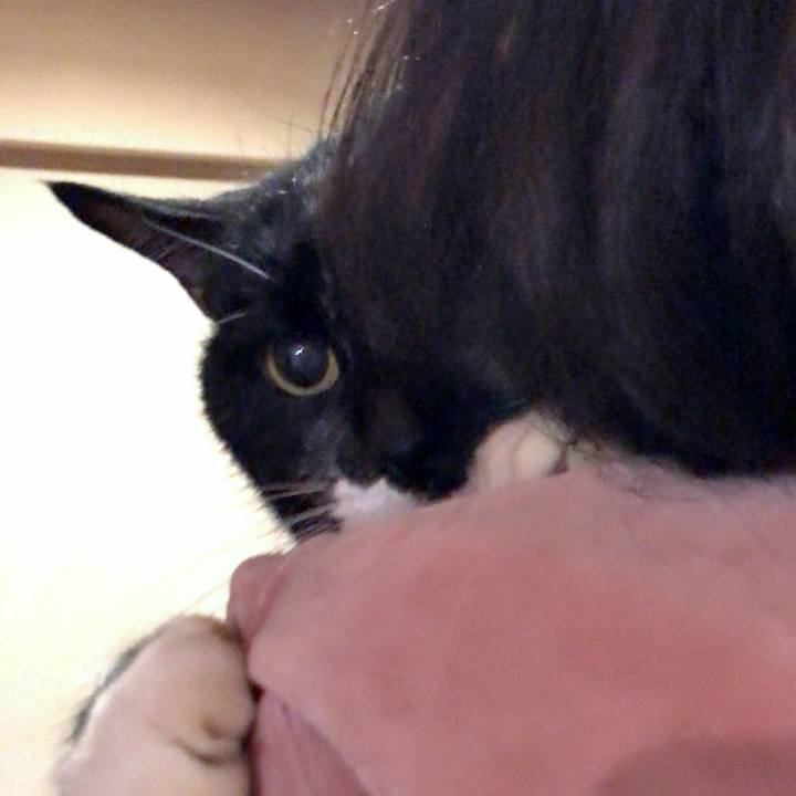 E5c17a66 c381 4165 a457 ed6e66a8543e