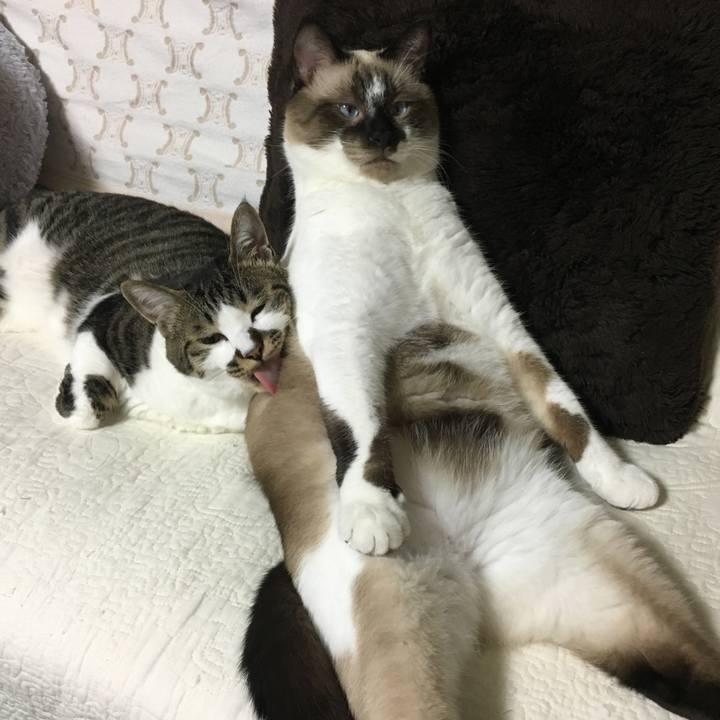 E5c1a56a 8b06 46e4 920d 089385dcdba5