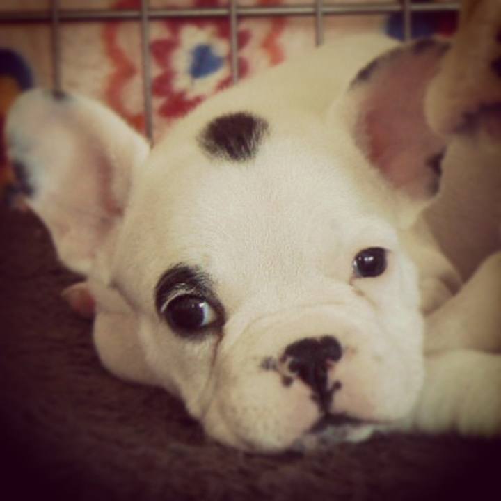 E5c2507a f8ac 4379 bb17 aa55fbf621ec