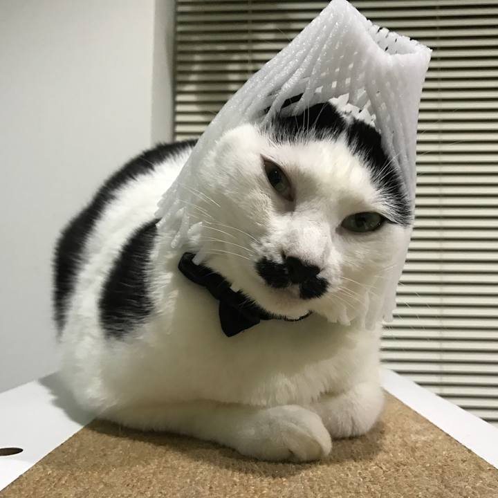 E5c27c68 01a6 46b9 9c78 6ec39da8b7fe