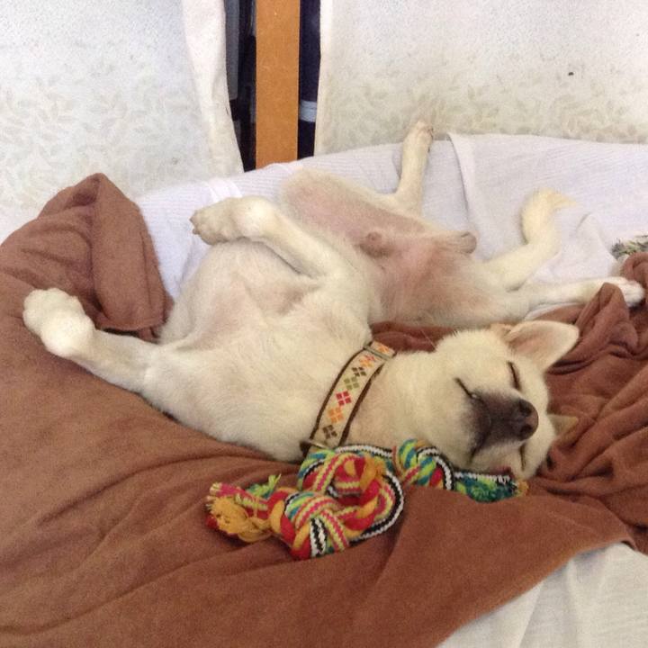 E5c2db31 2168 48d9 a99b 1d3337699f9a