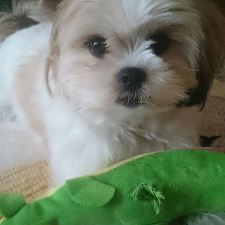 E5c38527 9851 422b 9e24 42284806c4dd