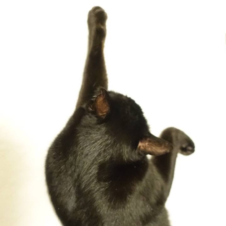 E5c3aec7 4488 43ee bc13 9248b3ef8e66