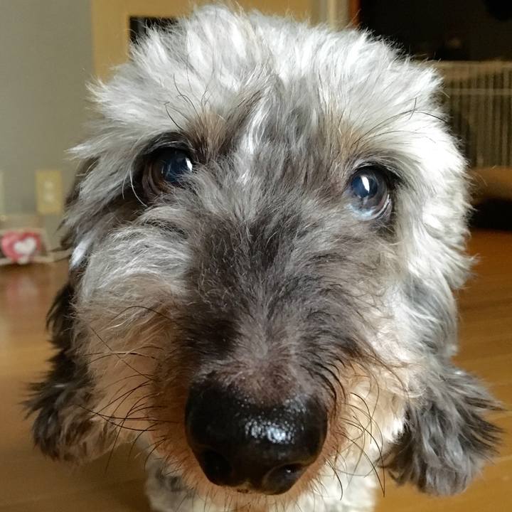 E5c3d2ab b6dd 45f4 93db 2f9c64669802