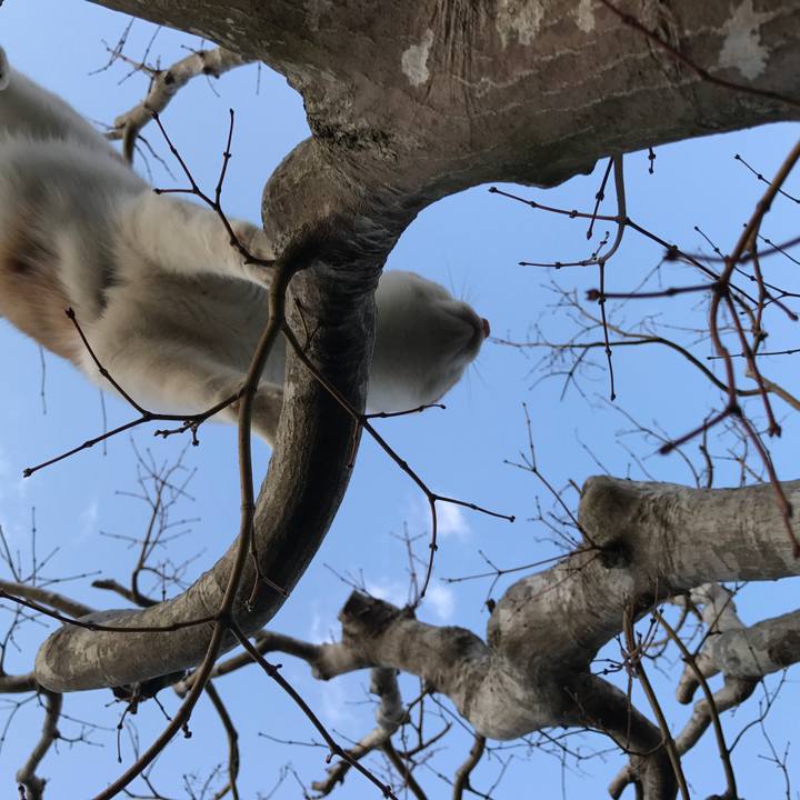 E5c4d6b2 00f6 4212 8cd0 1ac9f69a79c2