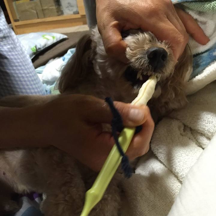 E5c4edd0 6615 4cc6 8867 c51efab4d35e