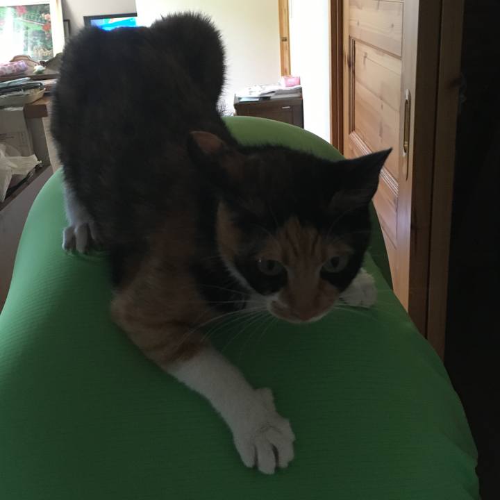 E5c51eb9 5c7b 41e2 a3ca 93800ed10aad