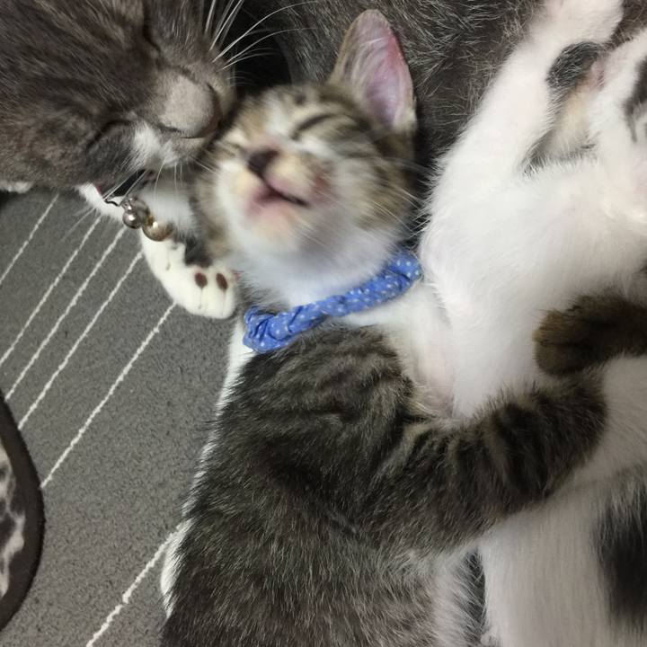 E5c59b07 1402 414d b940 c83223d8e519