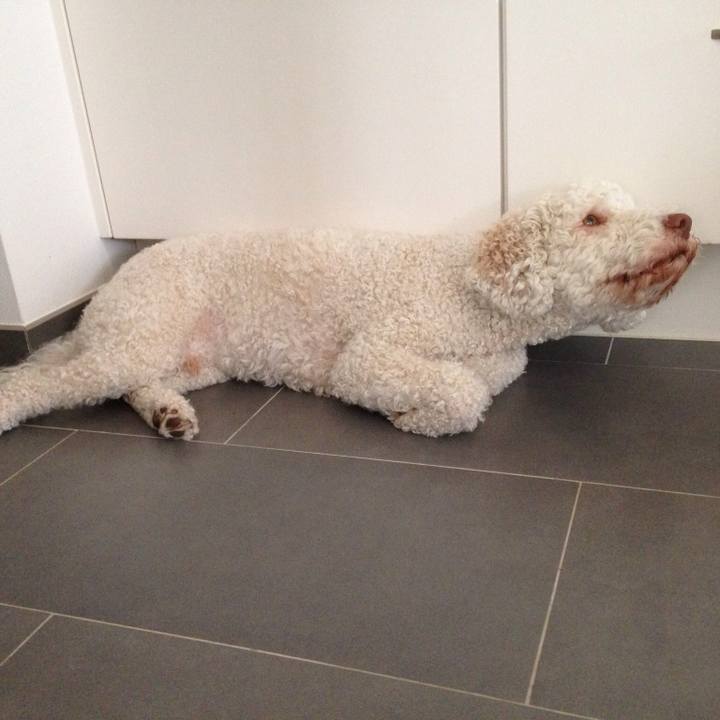 E5c61eec eb9f 406d af14 f2df6a9af719