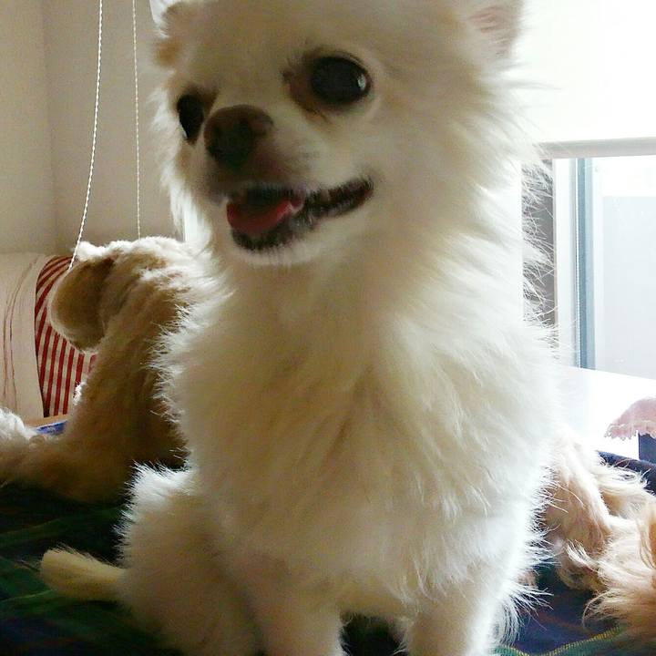 E5c6434d 0ab1 4e38 935f 7b6dec49d26a