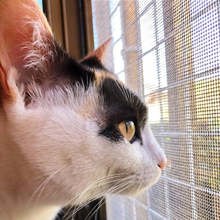 E5c7d542 86d7 4eeb 80f9 4b7b1d6ef5fb