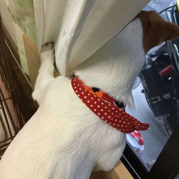 E5c867e8 474f 4232 89dd 5ee8bfd5810f