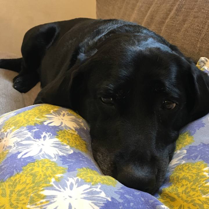 E5c91c8b 1067 495a a515 e1c7dccd7041