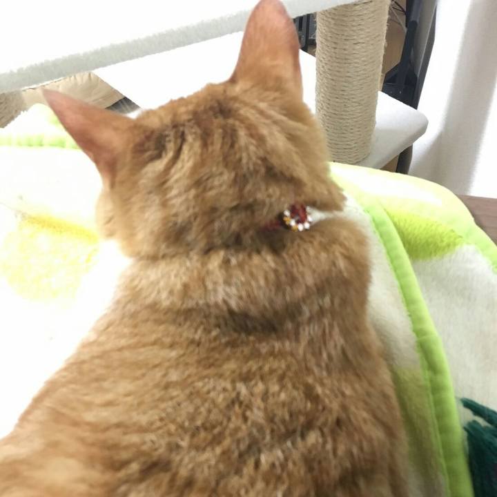 E5c98f7a 4c1d 484e ad16 41efbf9247d6